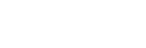 Fly 3